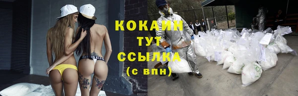 винт Горняк