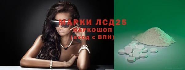 винт Горняк