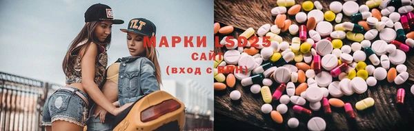 винт Горняк