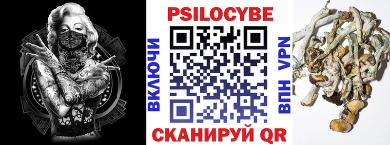 купить   Каспийск  Галлюциногенные грибы MAGIC MUSHROOMS 